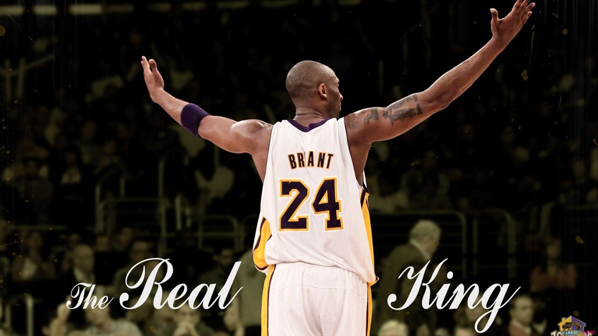 开云下载-广厦对阵公牛，锡安完美发挥背后的篮球文明对话